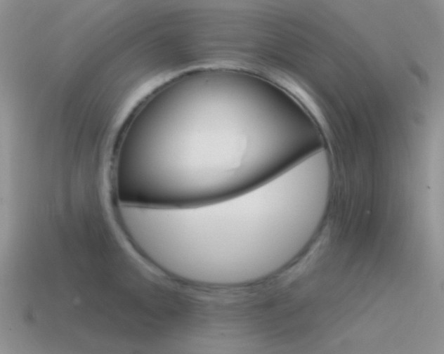 X0000115551093200911061122