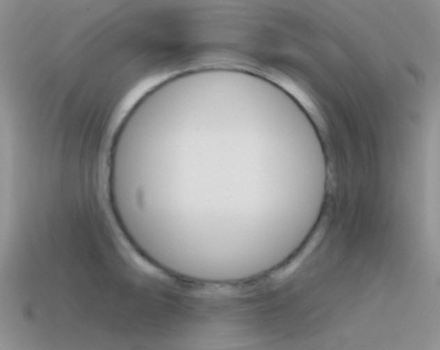 X0000115551094200911061122