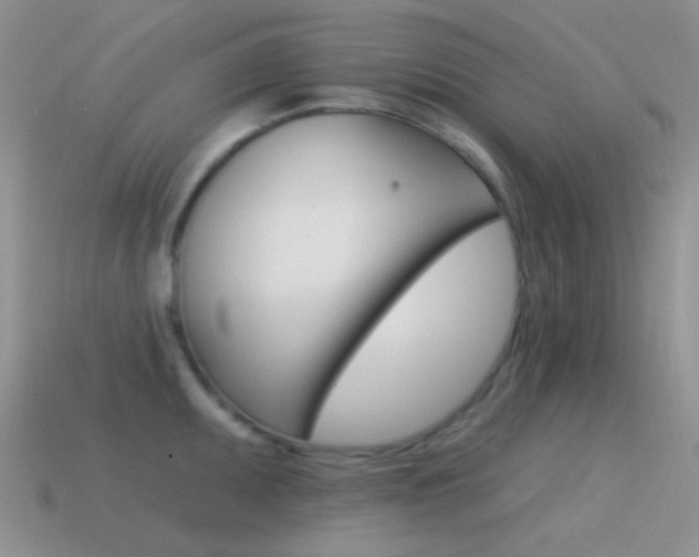 X0000115551095200911061122