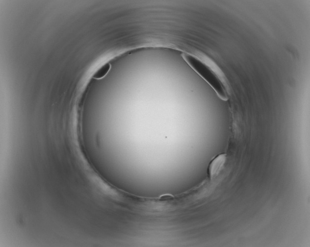 X0000115551096200911061122