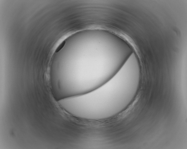X0000115551097200911061122