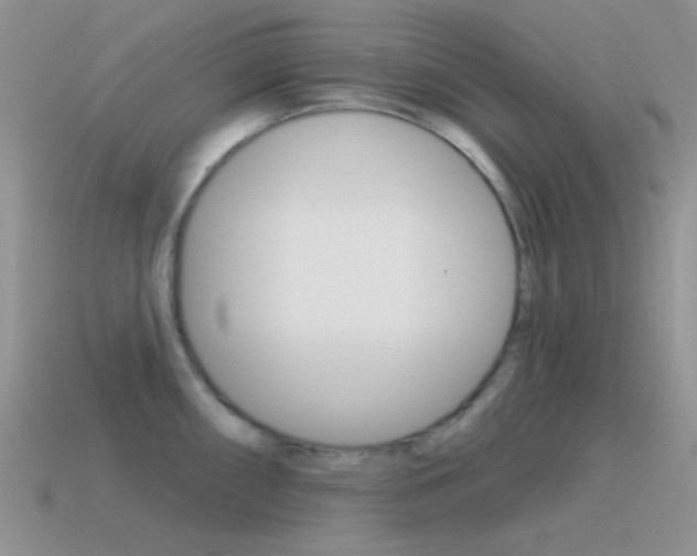 X0000115551098200911061122