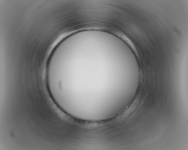 X0000115551099200911061122