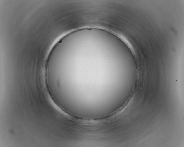 X0000115551100200911061122