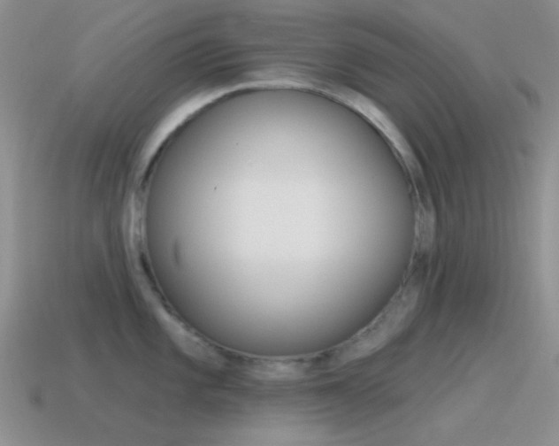 X0000115551101200911061122