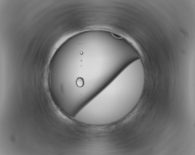 X0000115551102200911061122