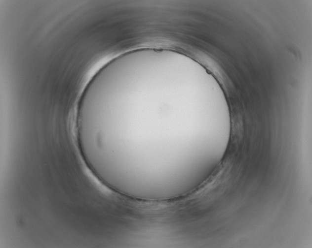 X0000115551103200911061122