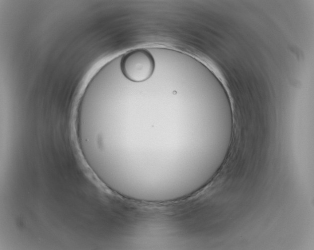X0000115551104200911061122
