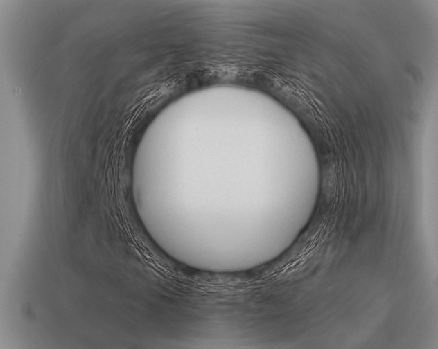 X0000115551105200911061121