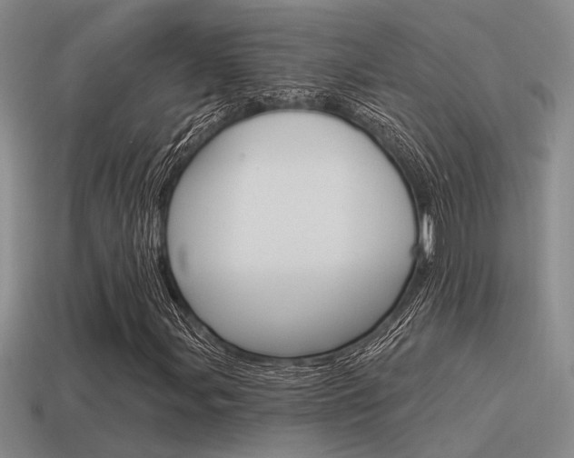 X0000115551107200911061121