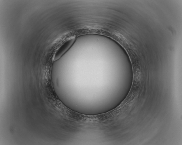 X0000115551110200911061121