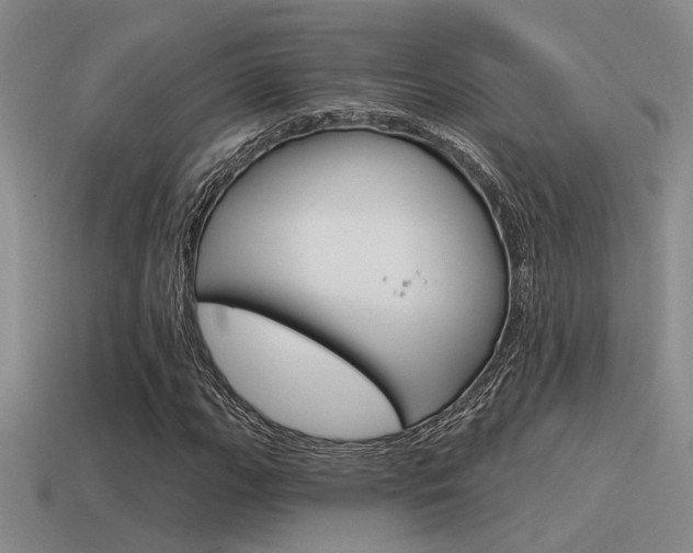 X0000115551111200911061121