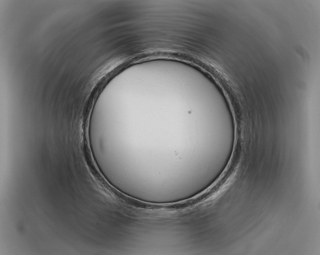 X0000115551113200911061121