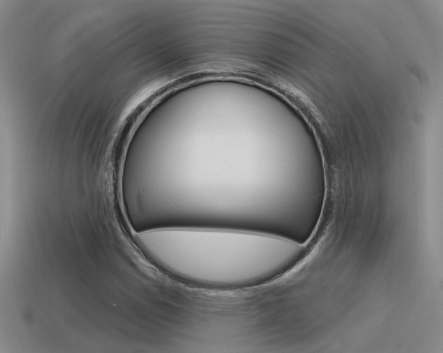 X0000115551114200911061121