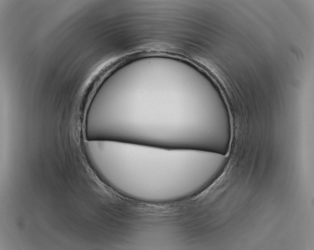 X0000115551115200911061121