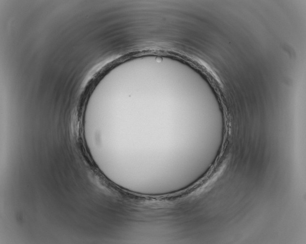 X0000115551117200911061121