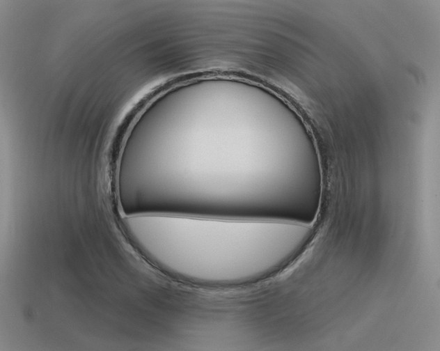 X0000115551118200911061121