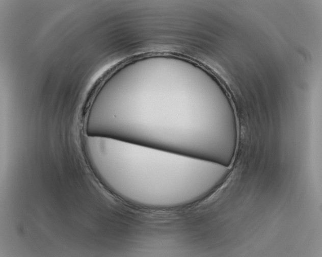 X0000115551119200911061121