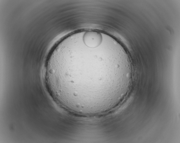 X0000115551125200911061121