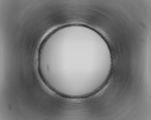 X0000115551126200911061121