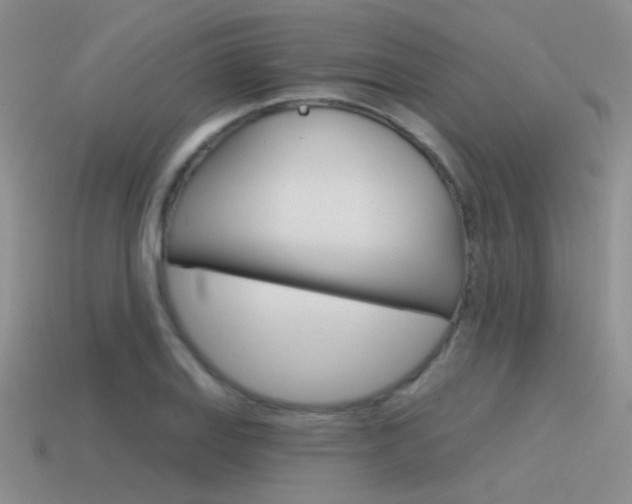 X0000115551127200911061121
