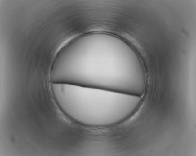 X0000115551129200911061121