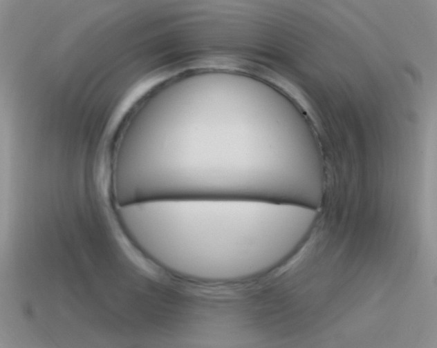 X0000115551131200911061121