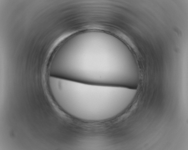 X0000115551133200911061121