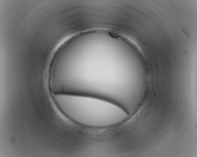 X0000115551135200911061122