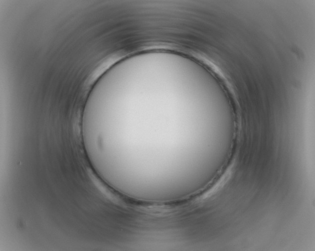 X0000115551137200911061122