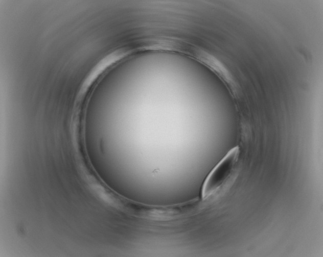 X0000115551138200911061122