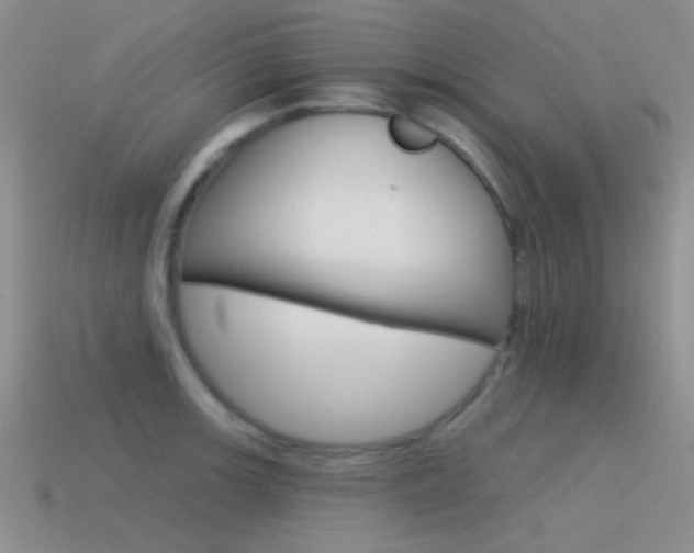 X0000115551139200911061122