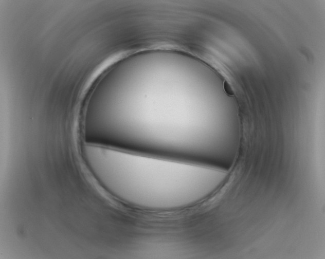X0000115551142200911061122