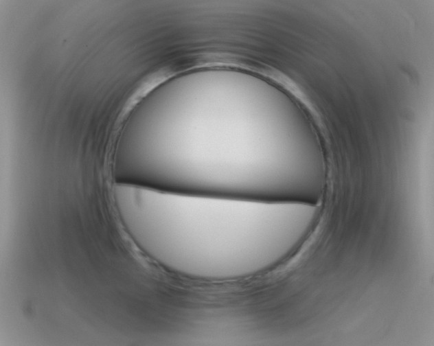 X0000115551145200911061122