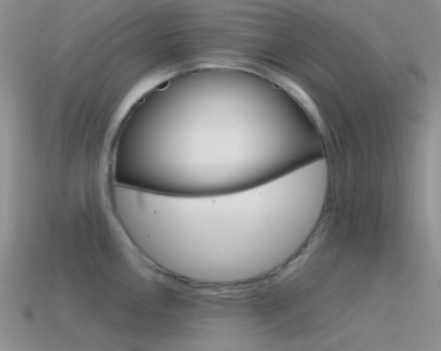X0000115551146200911061122