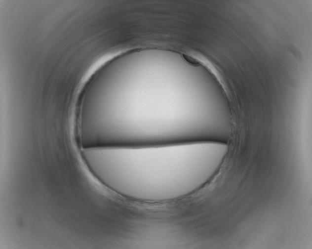 X0000115551147200911061122