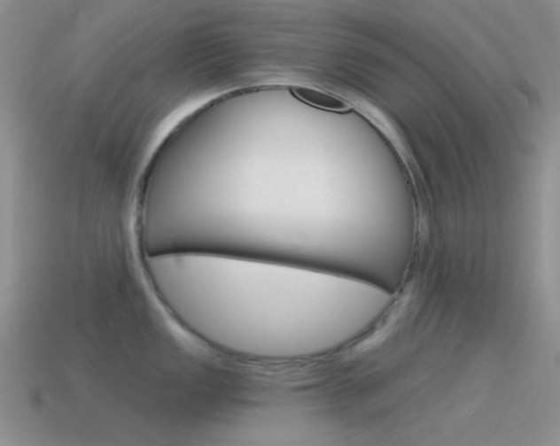 X0000115551149200911061122