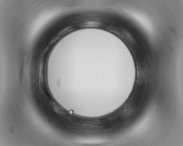 X0000115551150200911061122