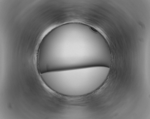 X0000115551151200911061122