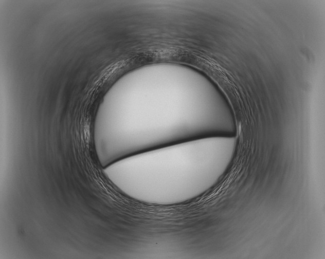 X0000115551155200911061121