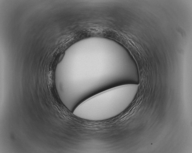 X0000115551156200911061121