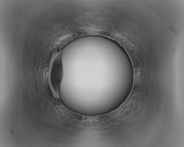 X0000115551157200911061121
