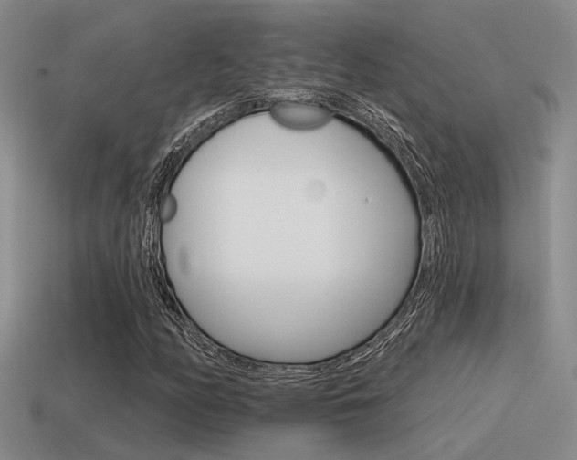 X0000115551158200911061121