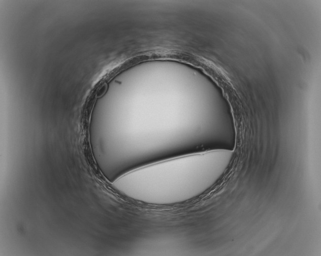 X0000115551160200911061121