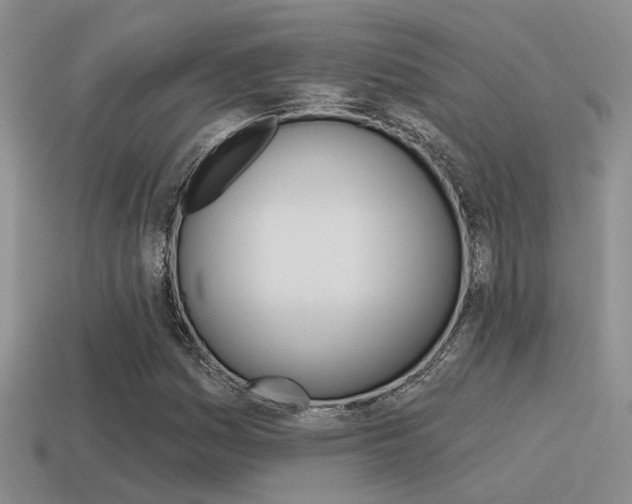 X0000115551161200911061121