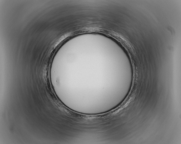 X0000115551162200911061121