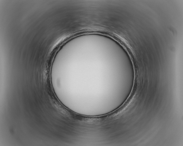 X0000115551163200911061121