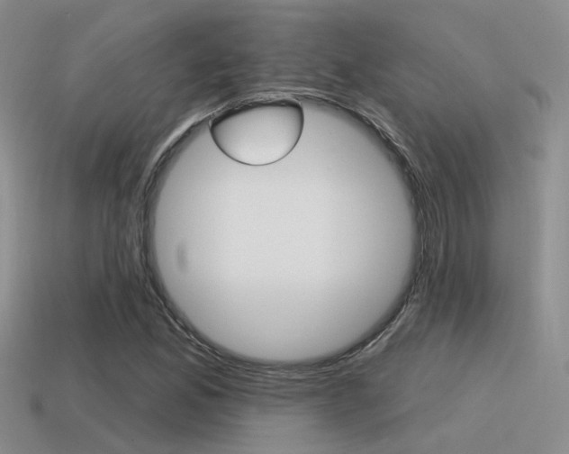 X0000115551165200911061121