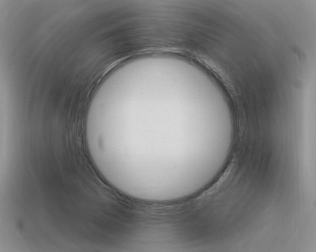 X0000115551169200911061121