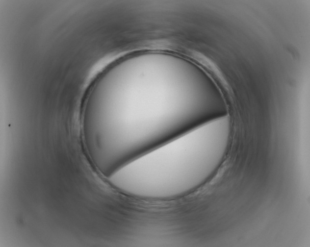 X0000115551176200911061121